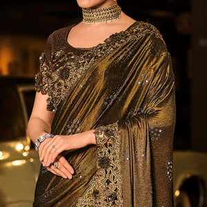 Brown Partywear Embroidered Embellished Mirror Work Net Saree