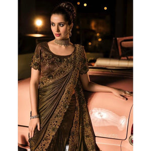 Brown Partywear Embroidered Embellished Mirror Work Net Saree