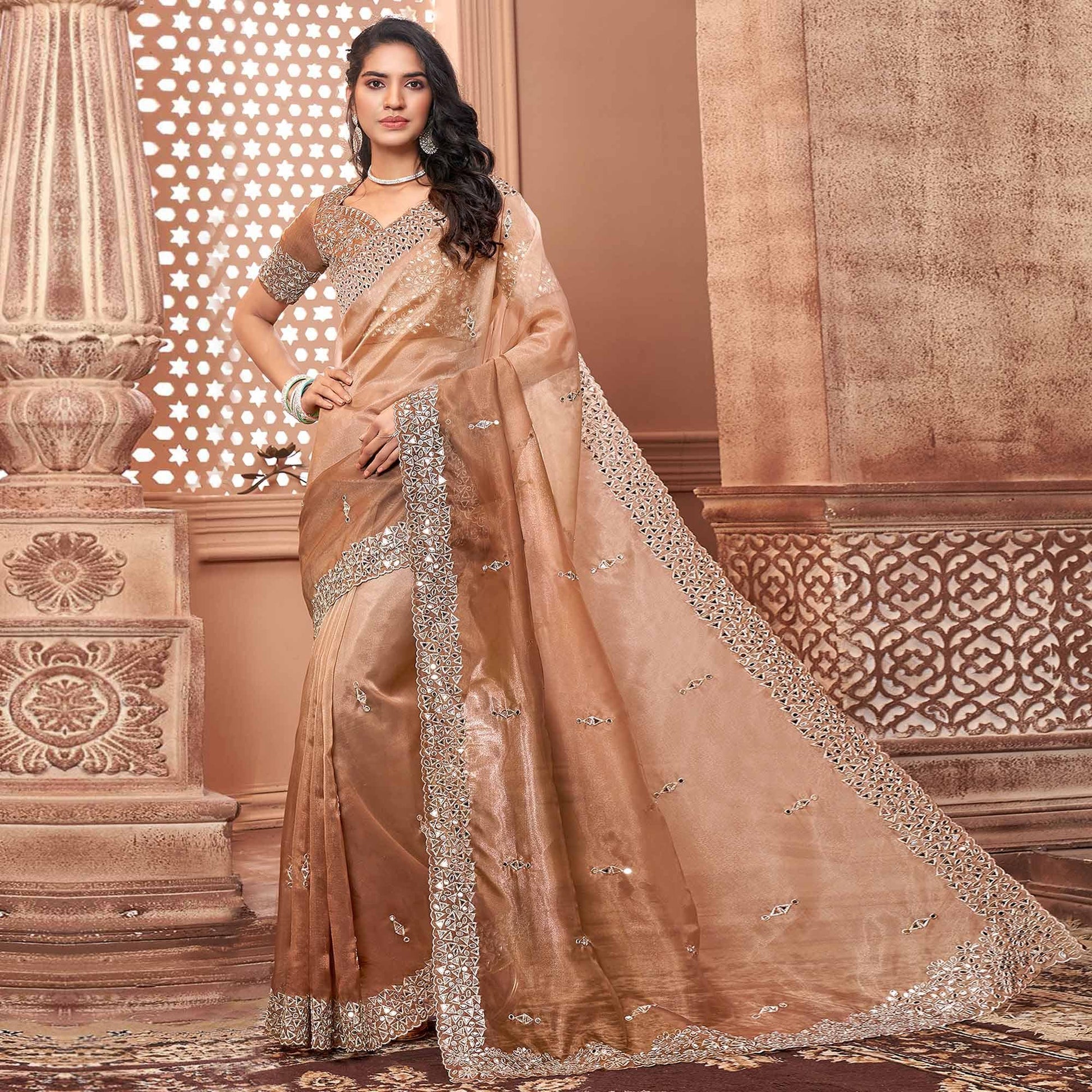 Brown Partywear Mirror Work Embroidered Organza Saree