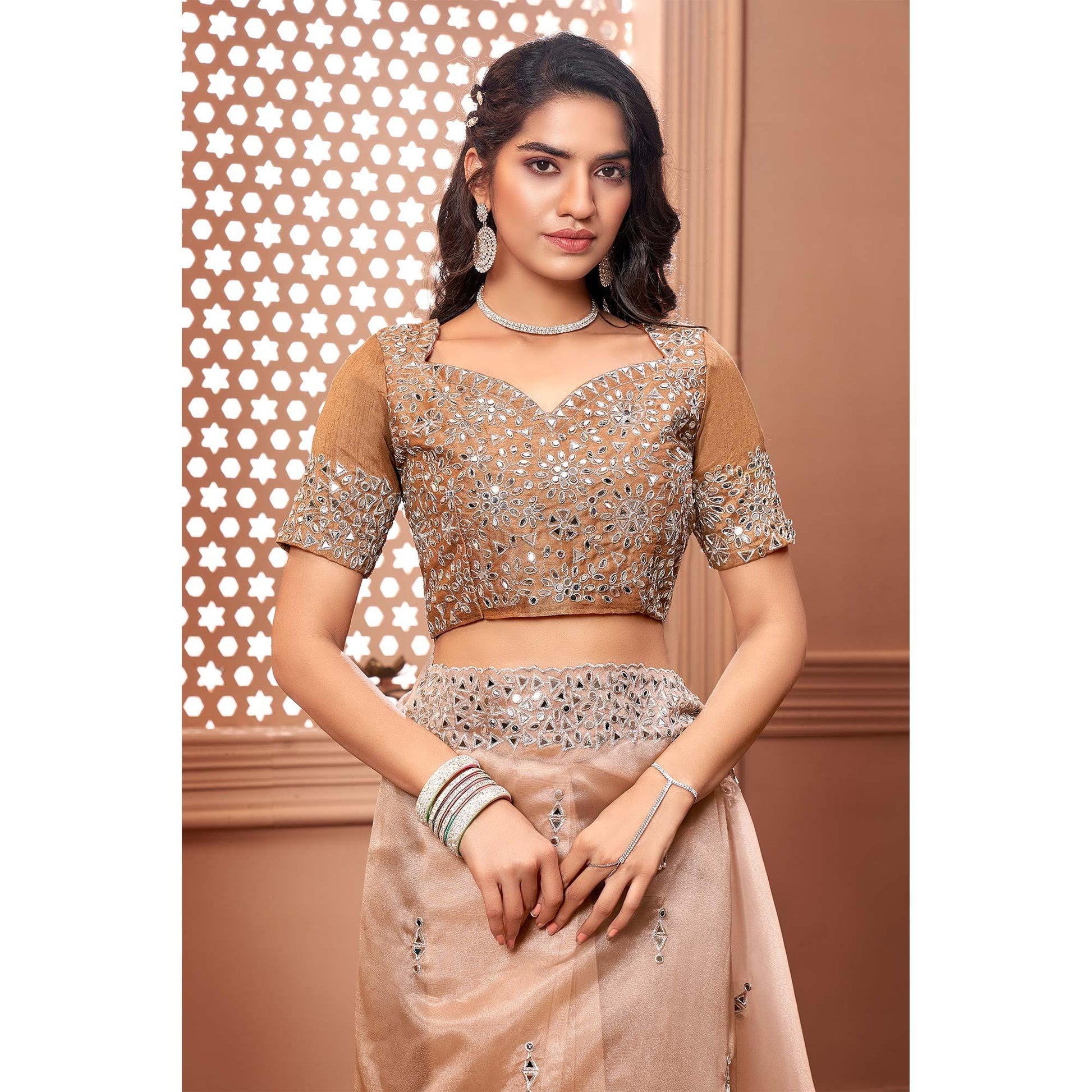 Brown Partywear Mirror Work Embroidered Organza Saree
