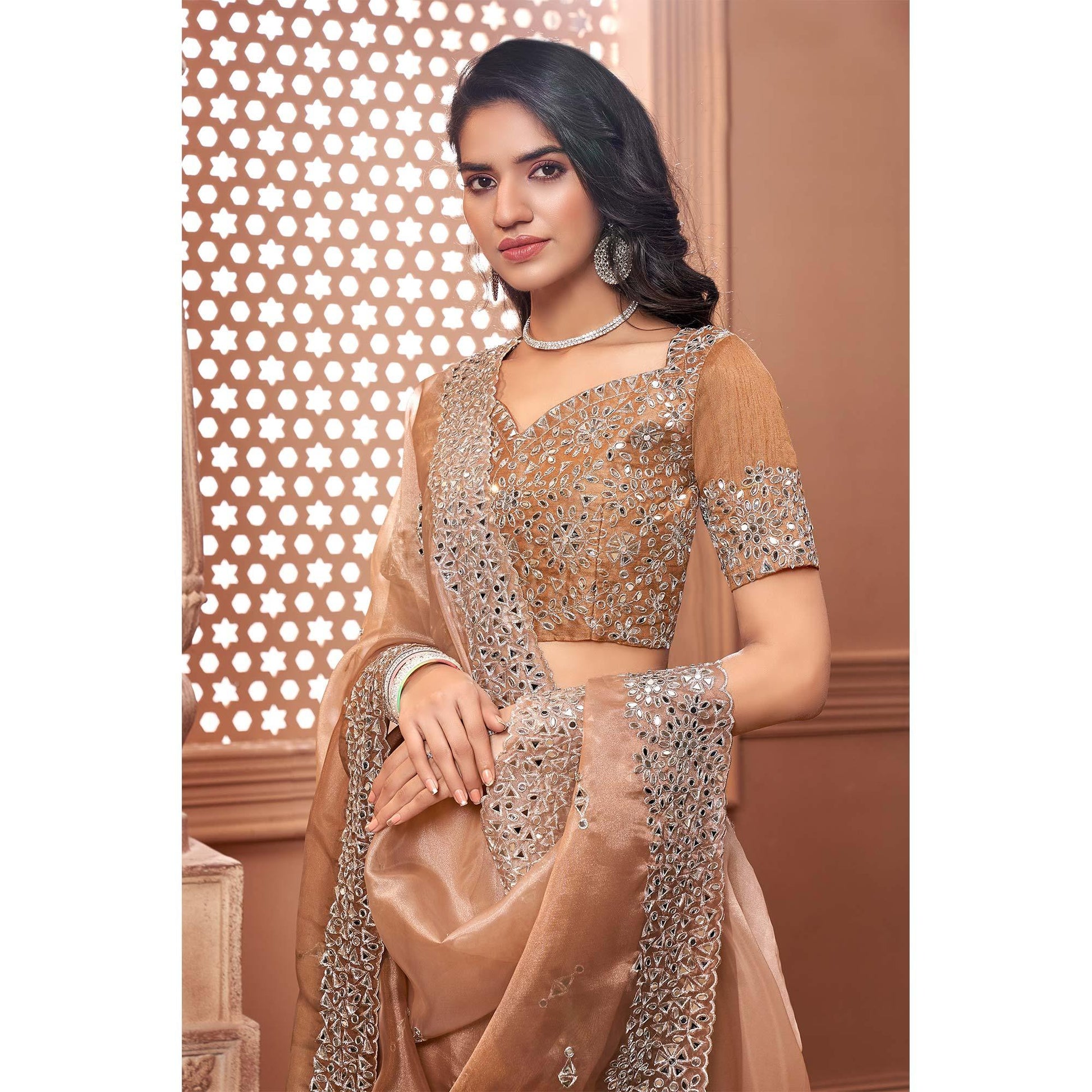 Brown Partywear Mirror Work Embroidered Organza Saree