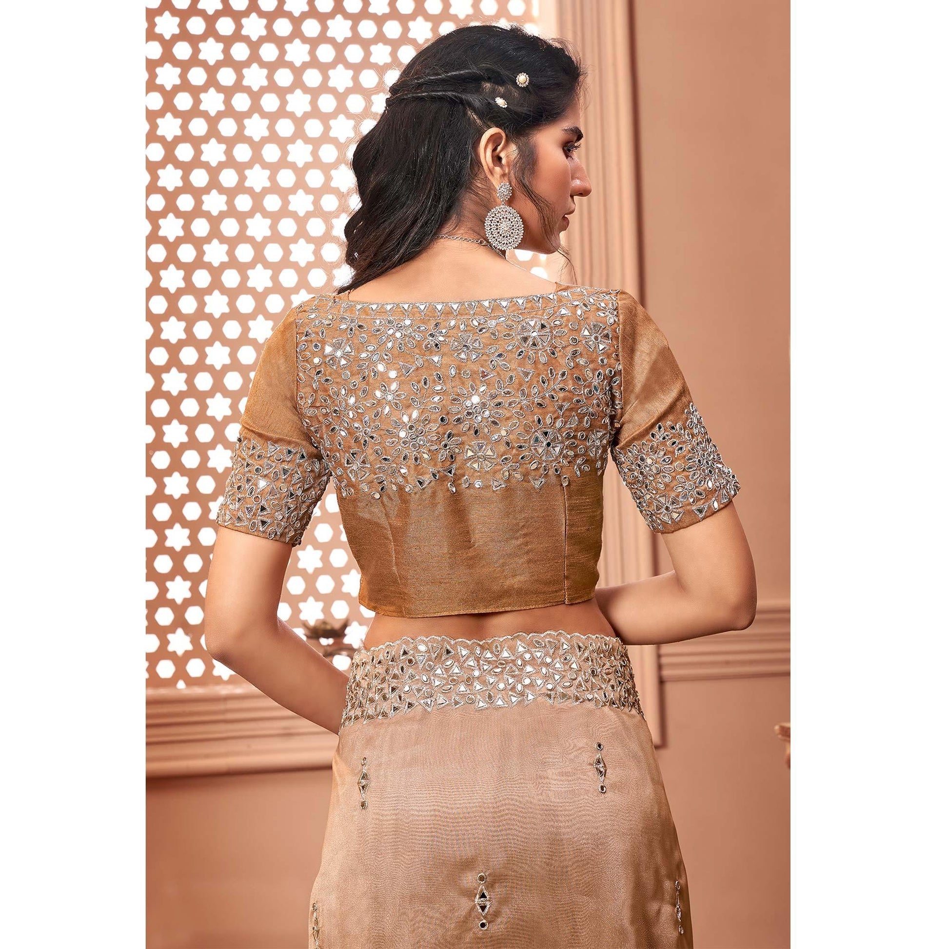 Brown Partywear Mirror Work Embroidered Organza Saree