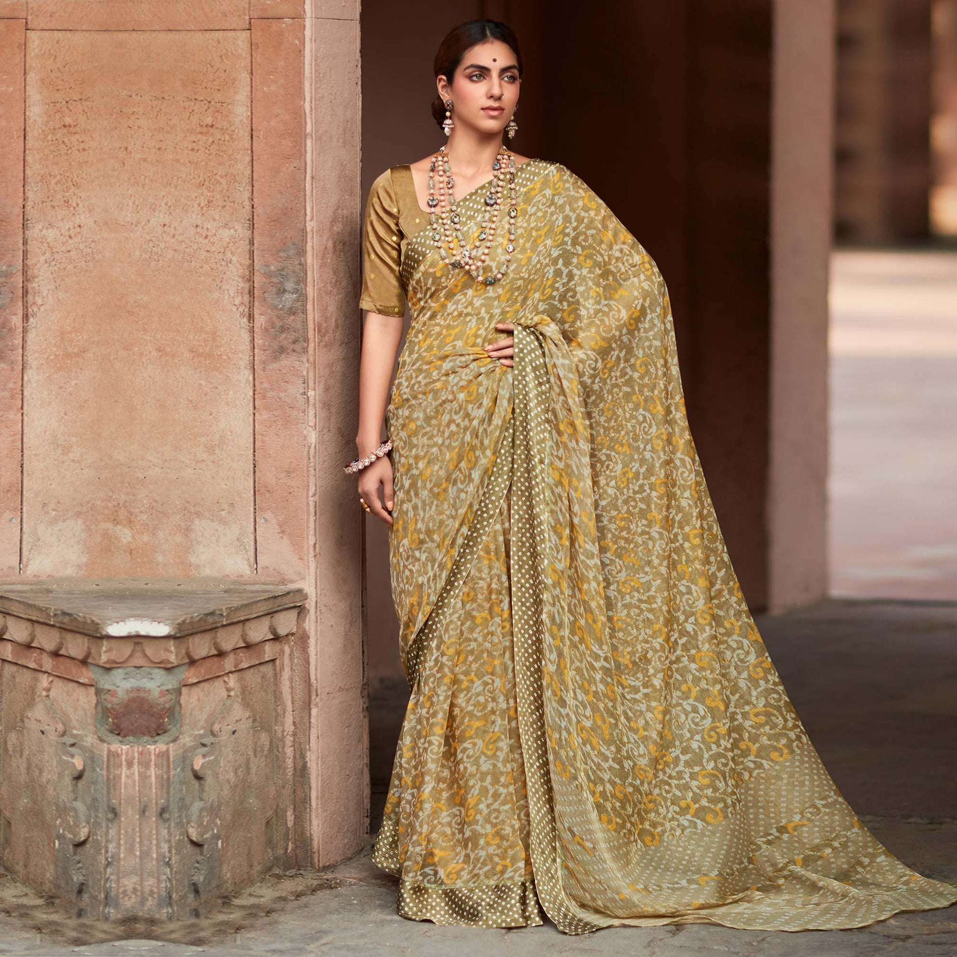 Brown Printed Chiffon Saree