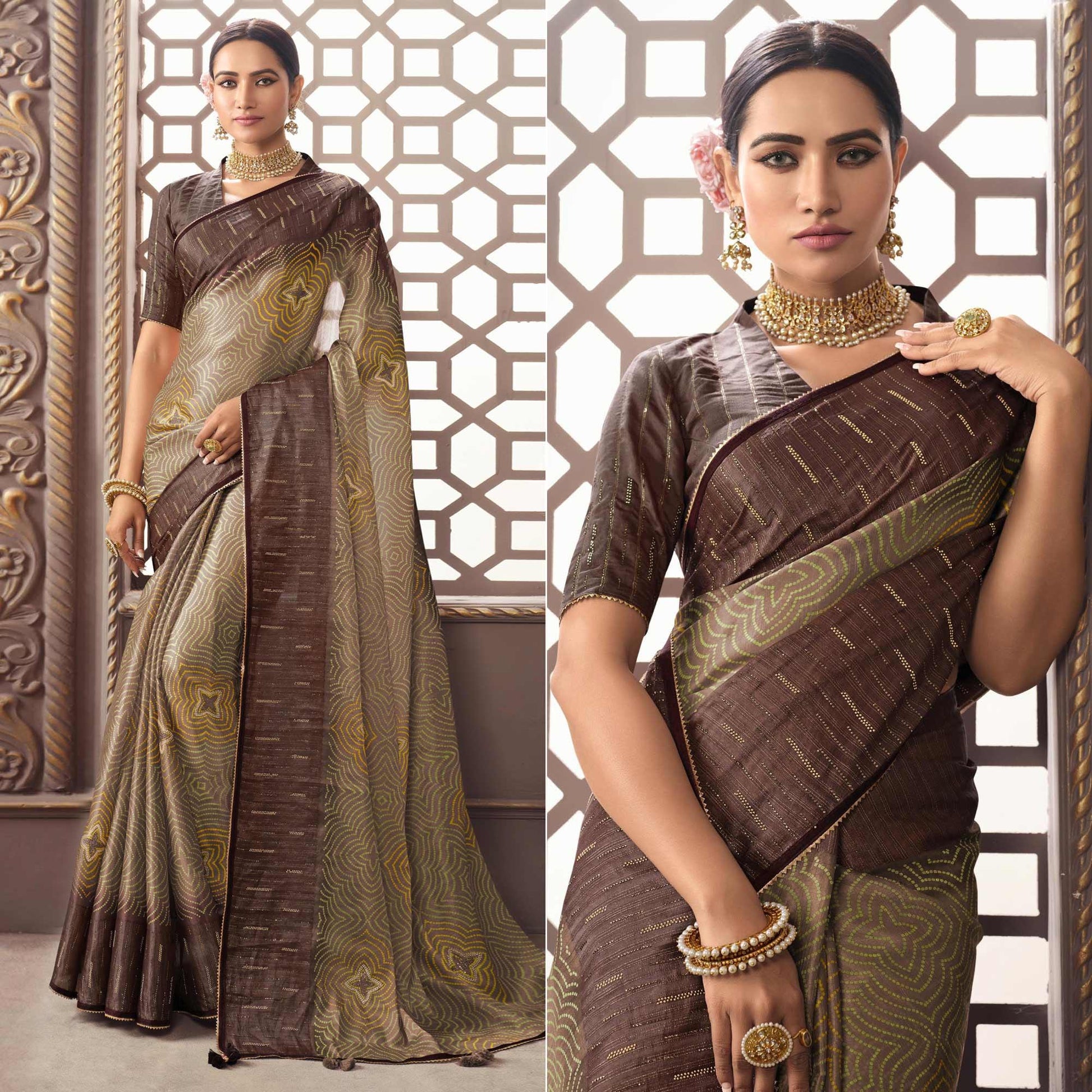 Brown Printed With Sequins Work Organza Saree