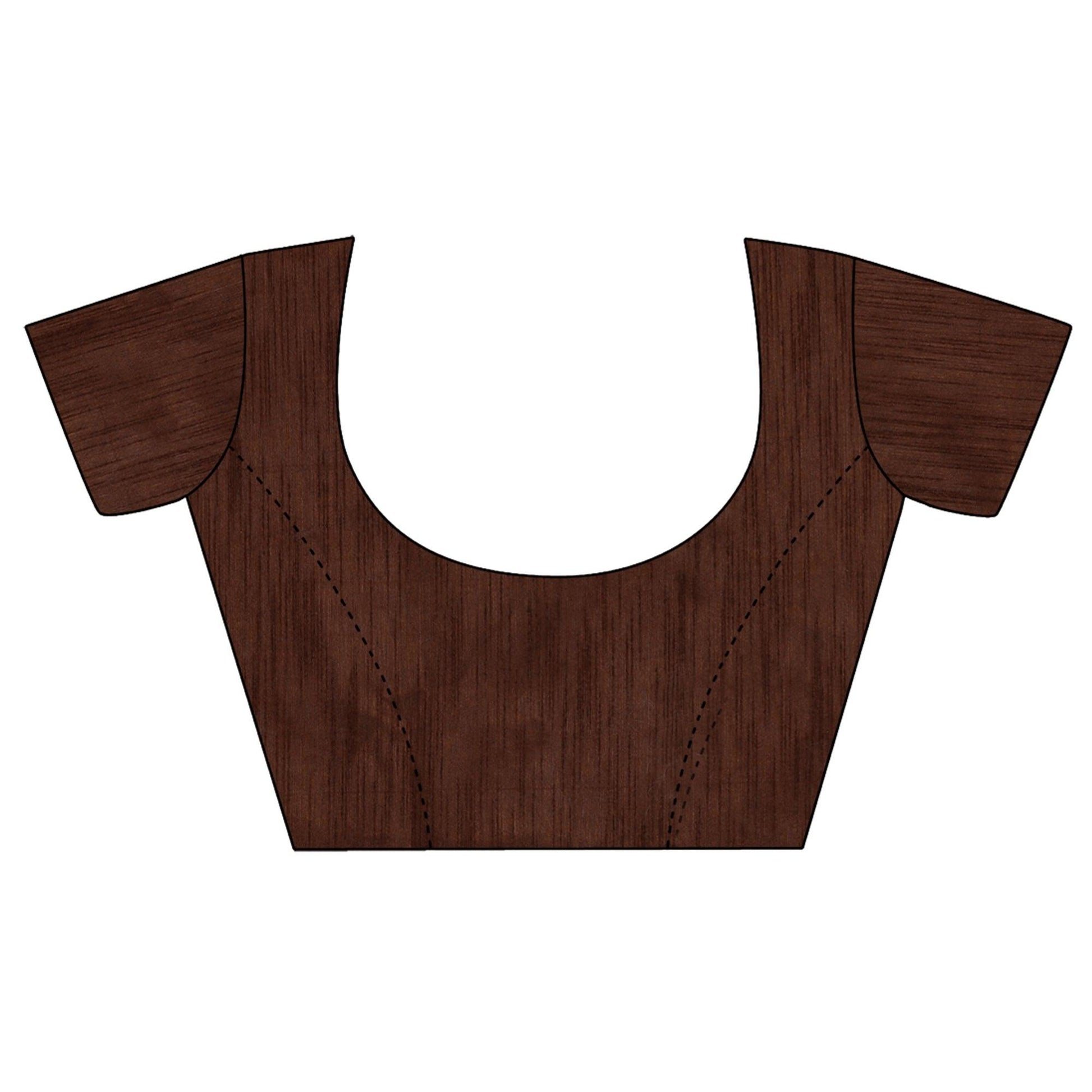 Brown Sequins Embroidered Organza Saree