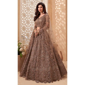 Brown Sequins Floral Embroidered Net Lehenga Choli
