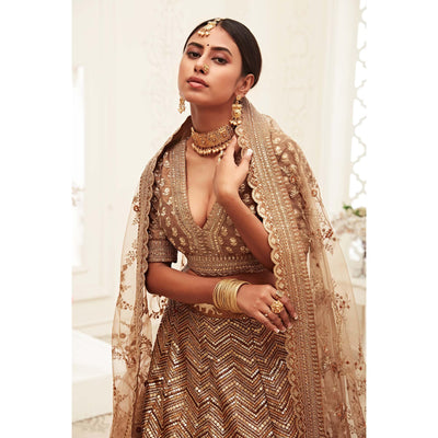 Brown Wedding Wear Floral Sequins Embroidered Slub Silk Lehenga Choli
