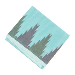 Light Blue Handloom Village Cotton Saree With Temple Border