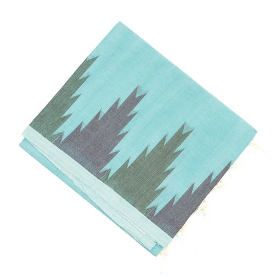Light Blue Handloom Village Cotton Saree With Temple Border