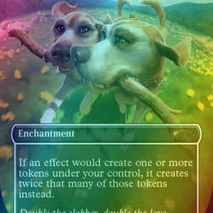 Anointed Procession // Anointed Procession [1511] [Borderless] [Raining Cats and Dogs] [Secret Lair Drop] [Foil]