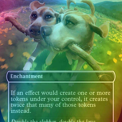 Anointed Procession // Anointed Procession [1511] [Borderless] [Raining Cats and Dogs] [Secret Lair Drop] [Foil]