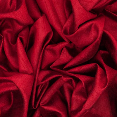 Red Handwoven Dupion Silk Saree With Printed Pallu