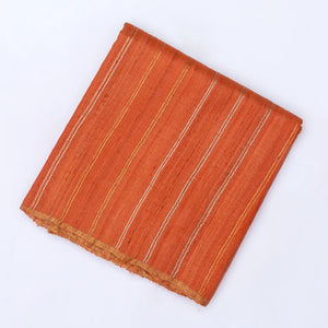 Orange Handloom Tussar Silk Saree With Embroidered Stripes