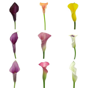 10 Mini Calla Lilies and Leaf Centerpieces