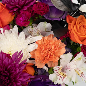 Candy Cauldron DIY Flower Kit