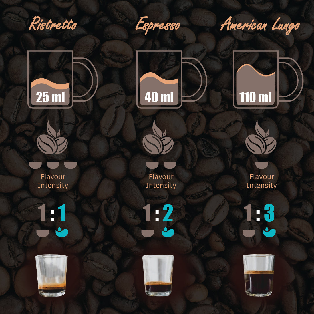 Wonderchef Renewed Regalia Capsule Coffee Machine with Frother