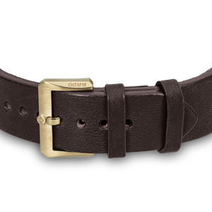 Rado Captain Cook Brown Dial Men 42mm