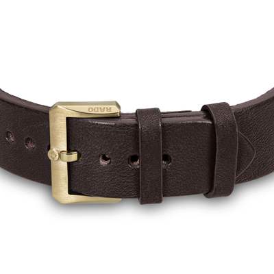 Rado Captain Cook Brown Dial Men 42mm