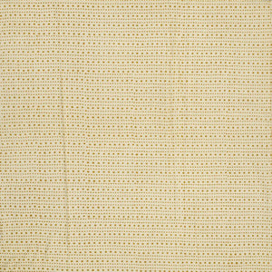 Cream Woven Jaipur Cotton Saree Printed With Gold Stripes