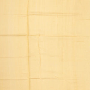 Light Peach Handwoven Banarasi Organza Silk Saree With Floral Motifs