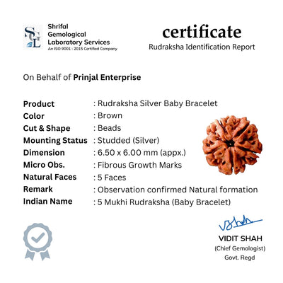 Rudraksha Silver Bracelet with Ganesh Single Line for Kids