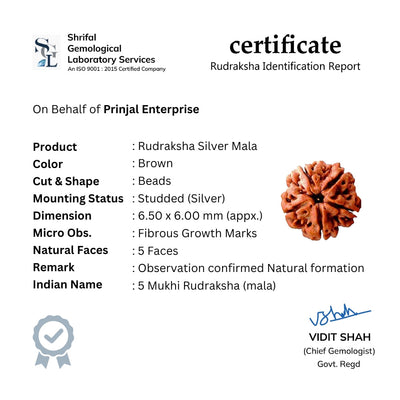 Rudraksha Silver Mala (Oval Beads)