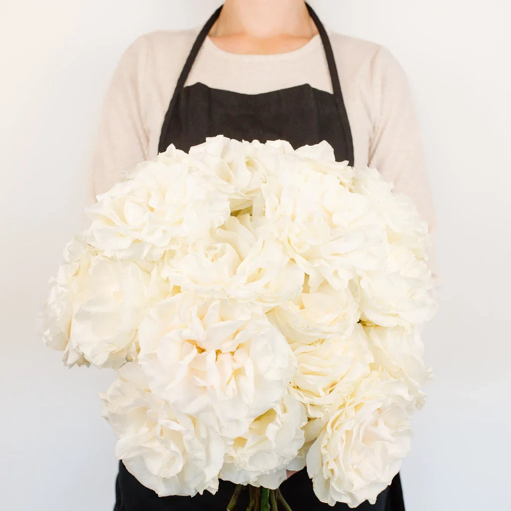 Giant White Pearl Garden Roses