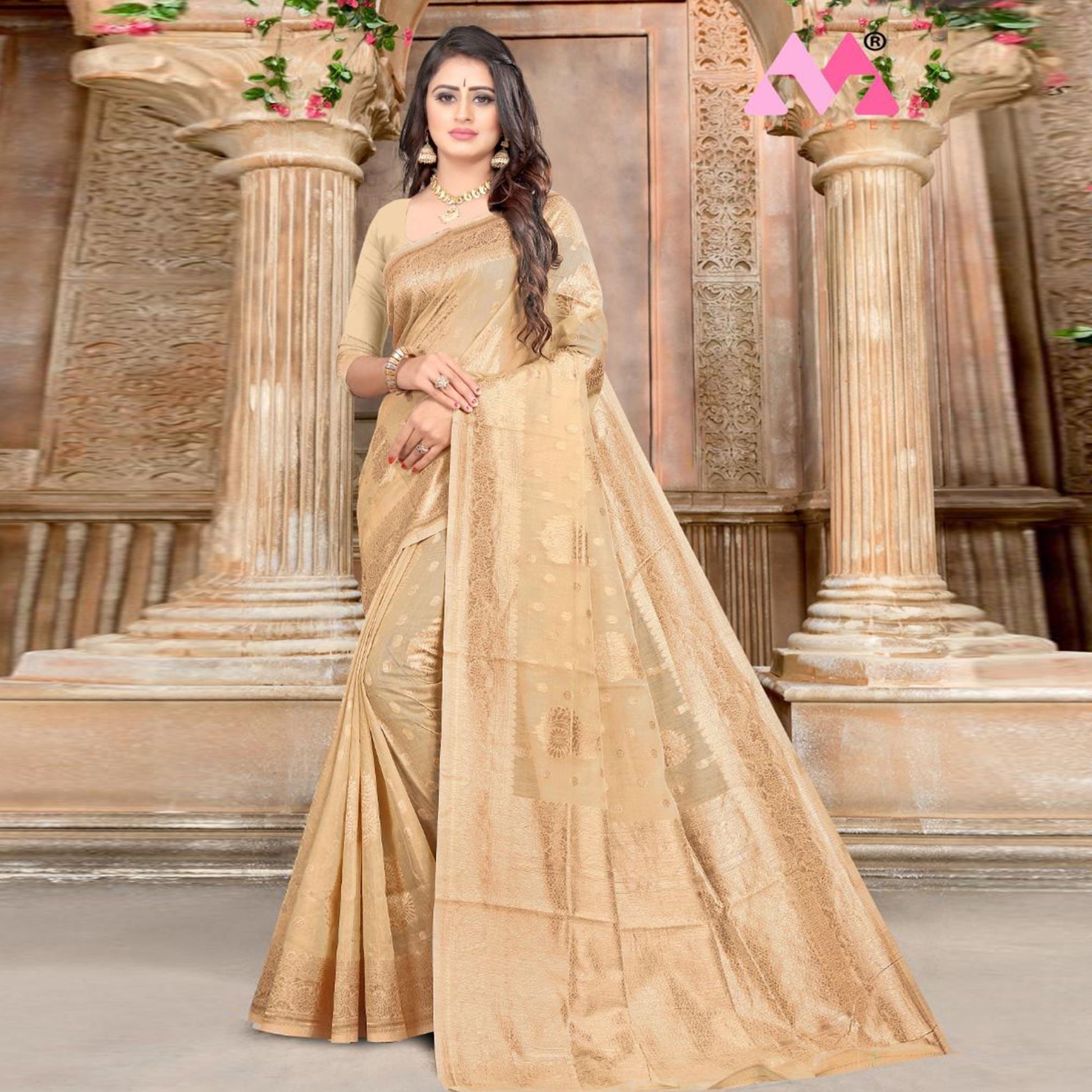 Chikoo Festive Wear Woven Chanderi Silk Saree