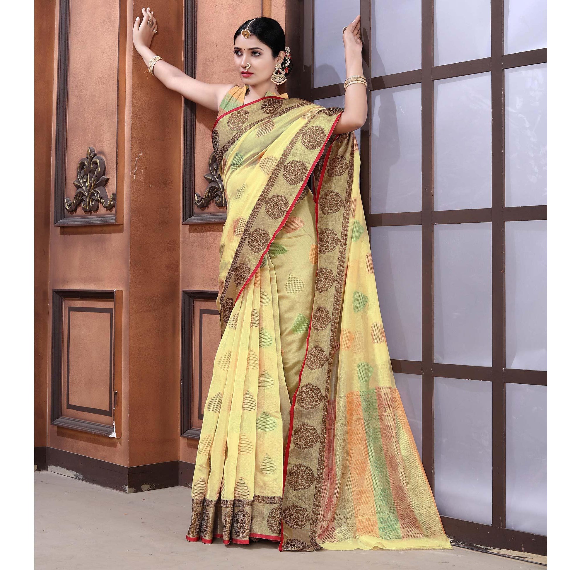 Chikoo Festive Wear Woven Organza Saree