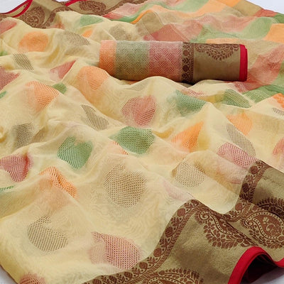 Chikoo Festive Wear Woven Rich Pallu Organza Saree