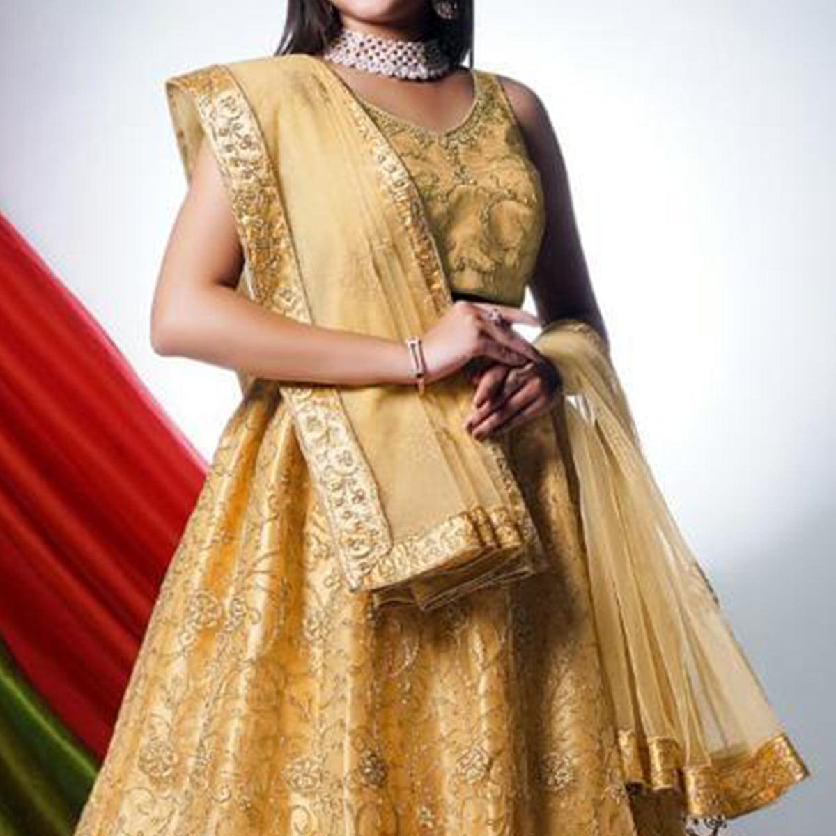 Chikoo Floral Embroidered Net Lehenga Choli