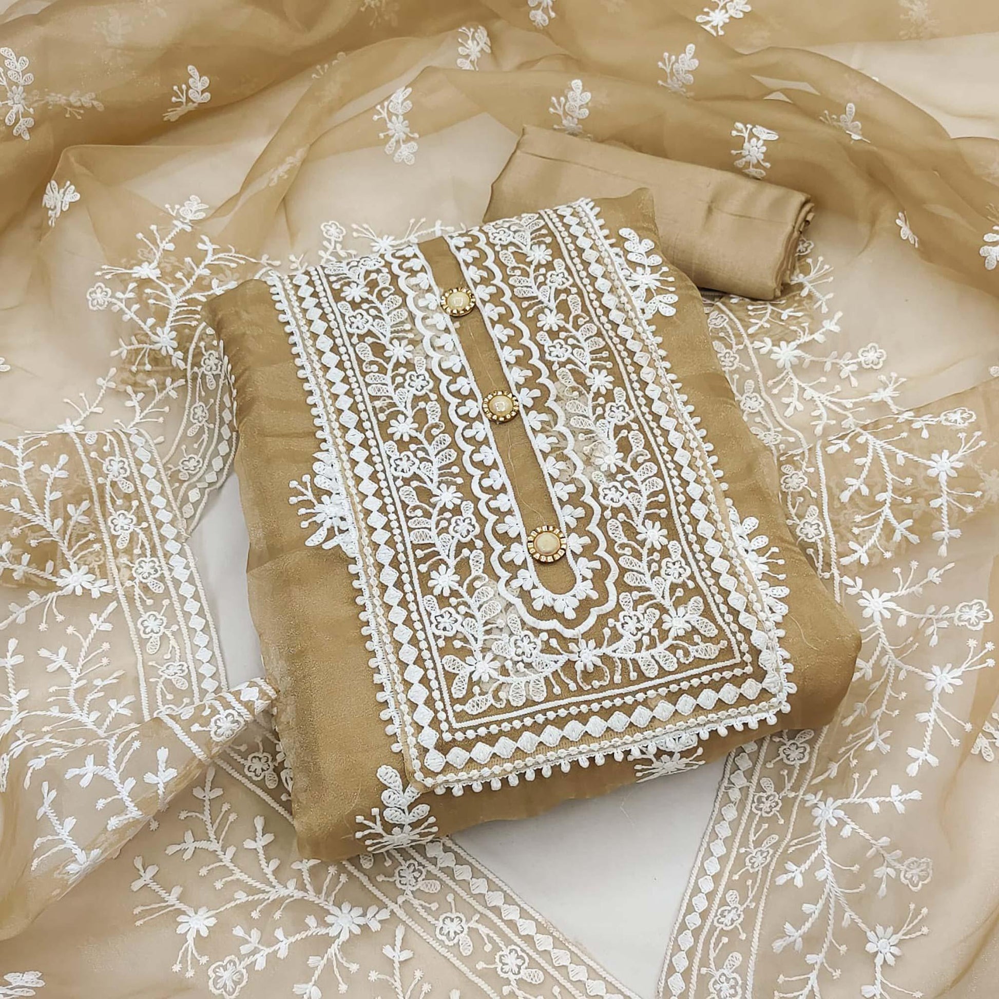 Chikoo Floral Embroidered Organza Dress Material
