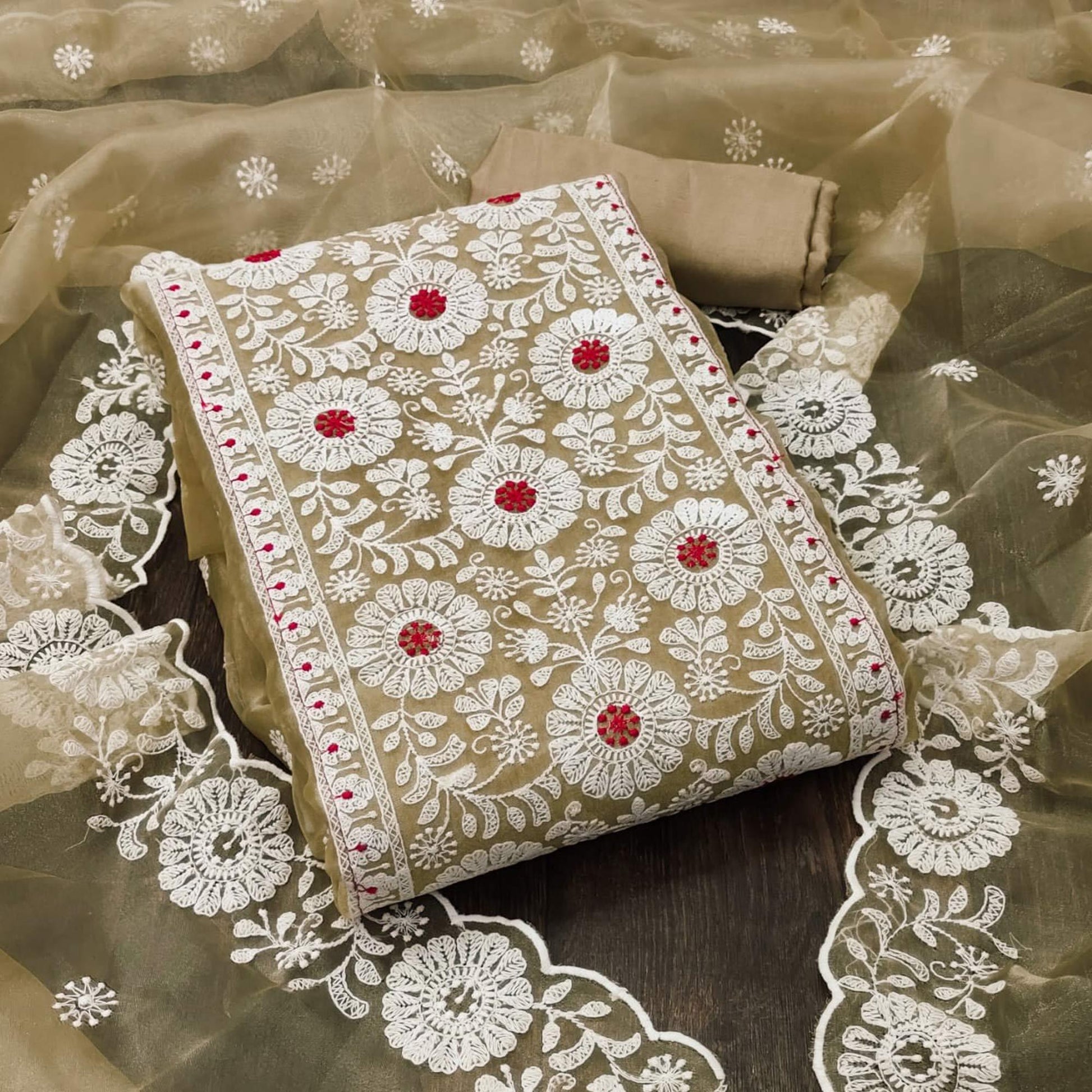 Chikoo Floral Embroidered Organza Dress Material