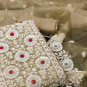 Chikoo Floral Embroidered Organza Dress Material