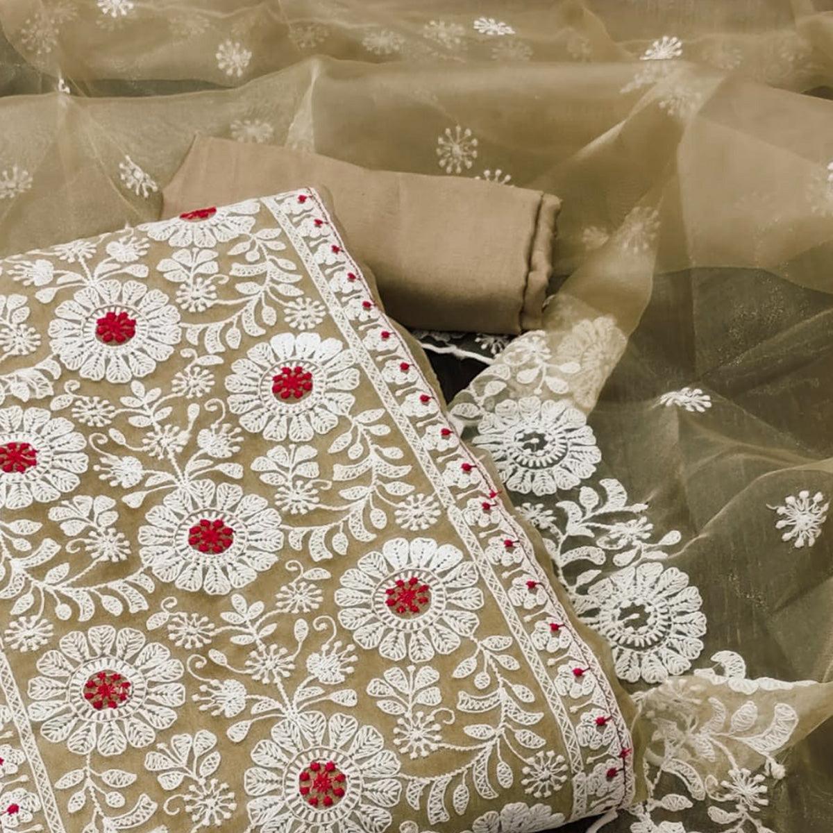Chikoo Floral Embroidered Organza Dress Material
