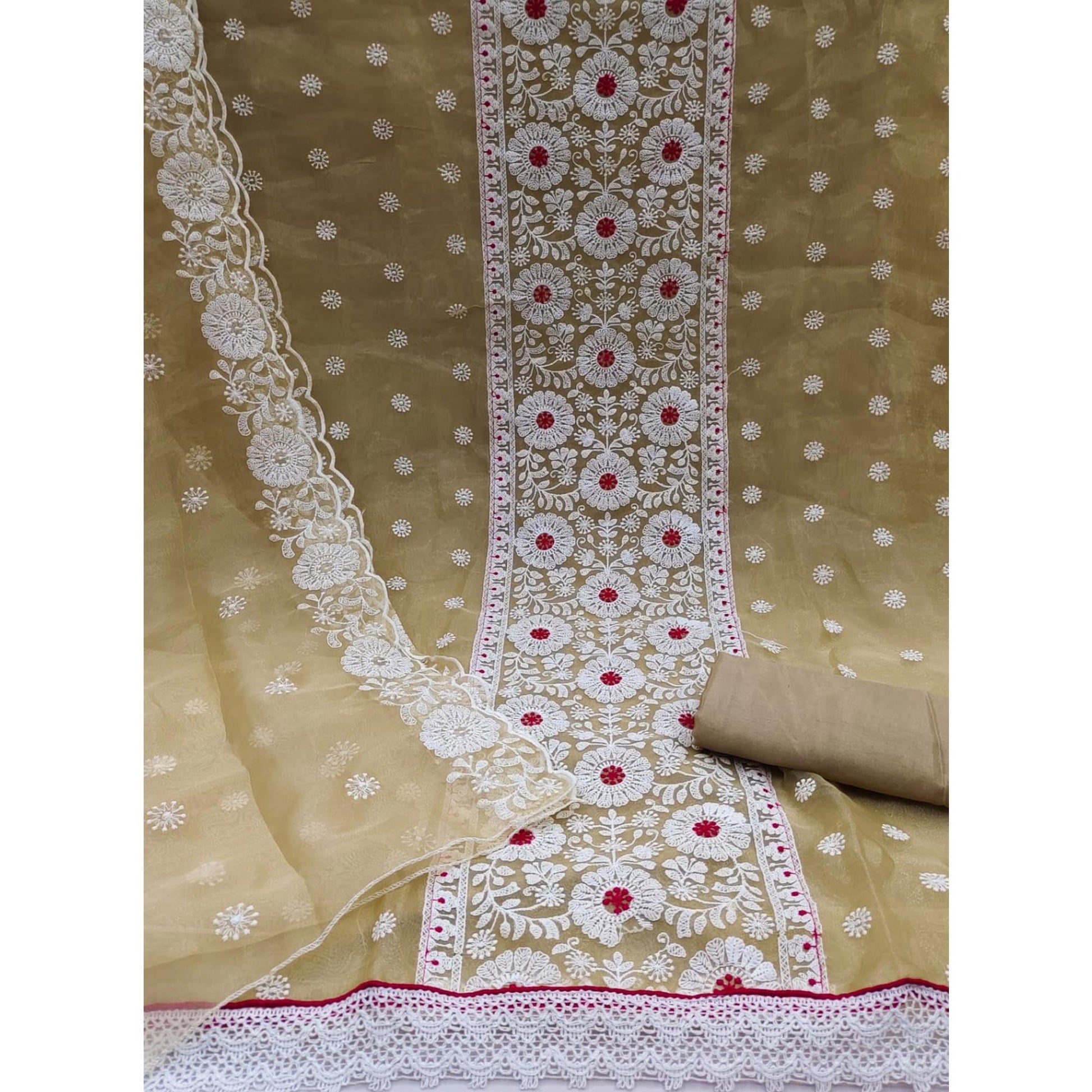Chikoo Floral Embroidered Organza Dress Material