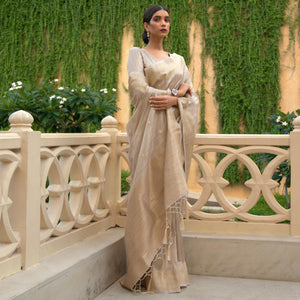 Chikoo Partywear Sequins Woven Silk Saree