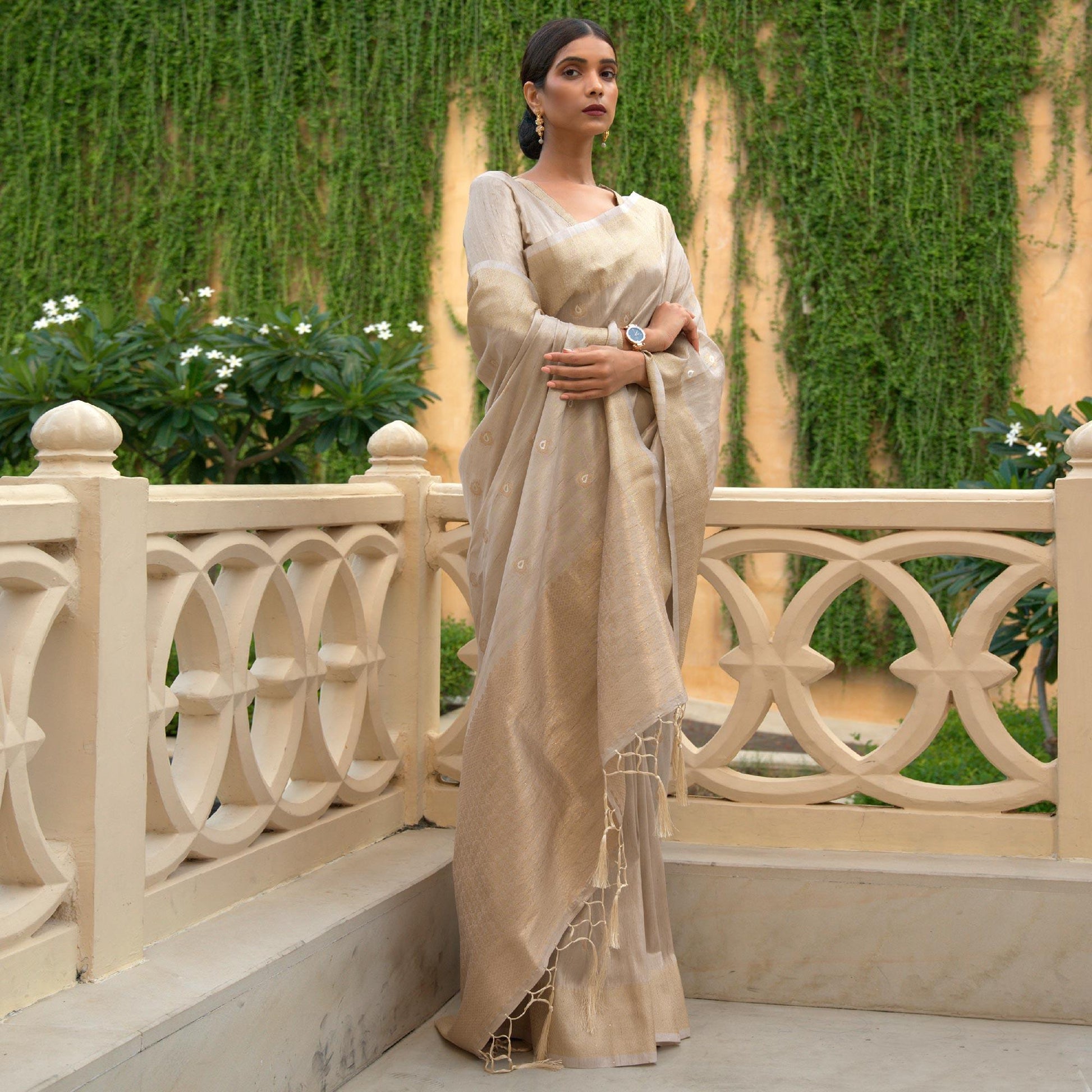 Chikoo Partywear Sequins Woven Silk Saree