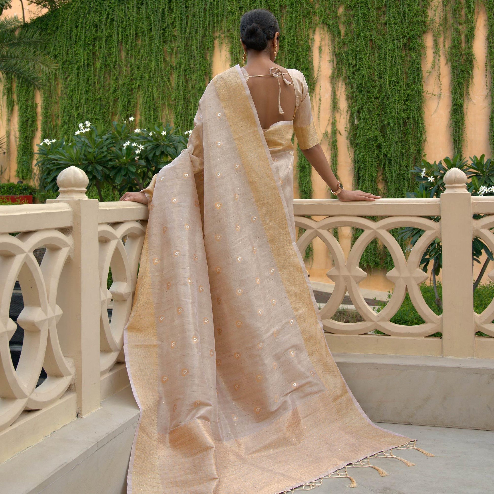 Chikoo Partywear Sequins Woven Silk Saree