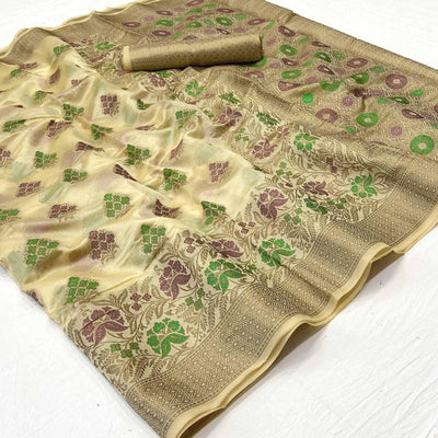 Chikoo Woven Organza Saree