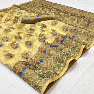 Chikoo Woven Organza Saree