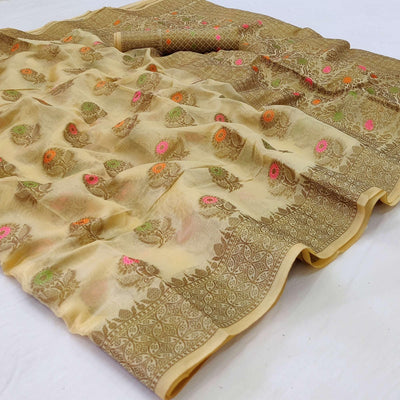 Chikoo Woven Organza Saree