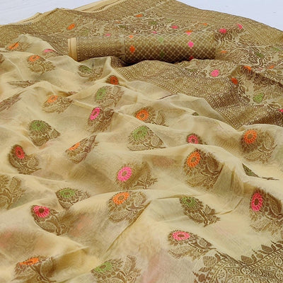 Chikoo Woven Organza Saree