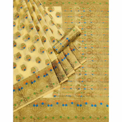 Chikoo Woven Organza Saree