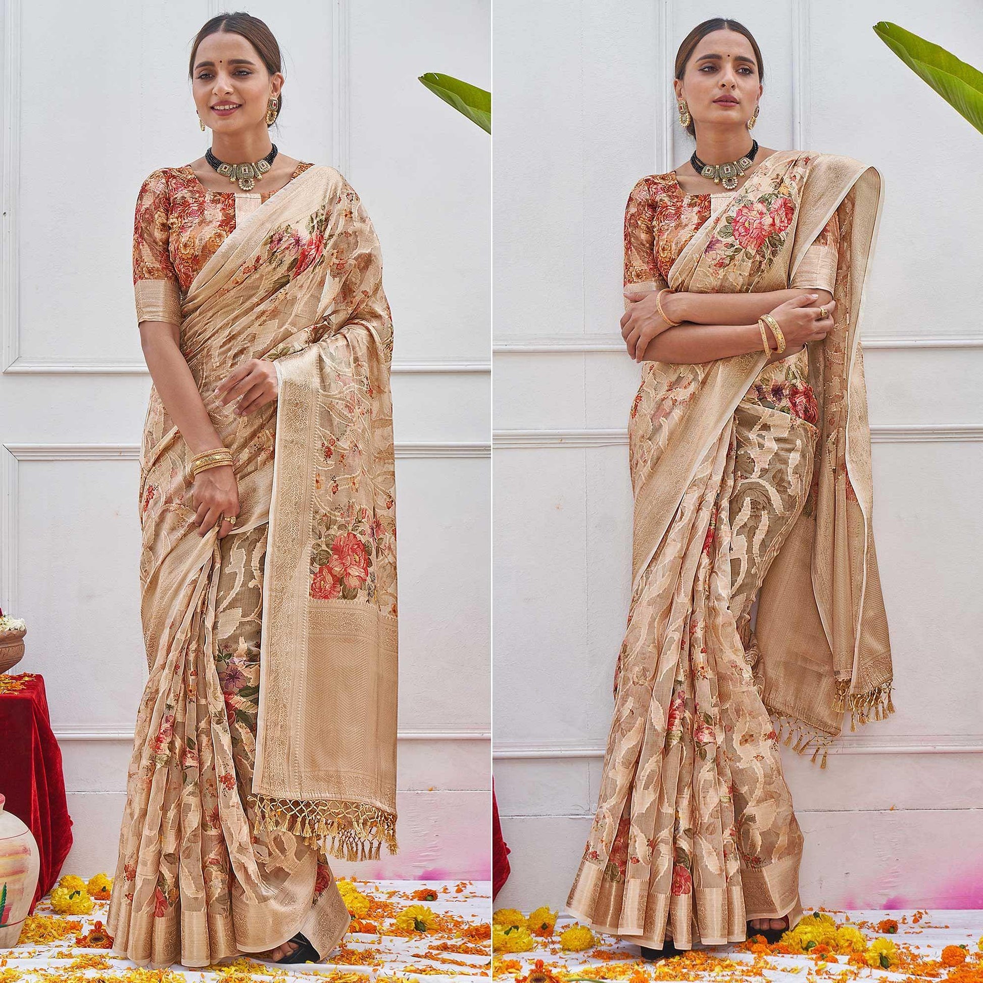 Chikoo Woven With Printed Organza Saree