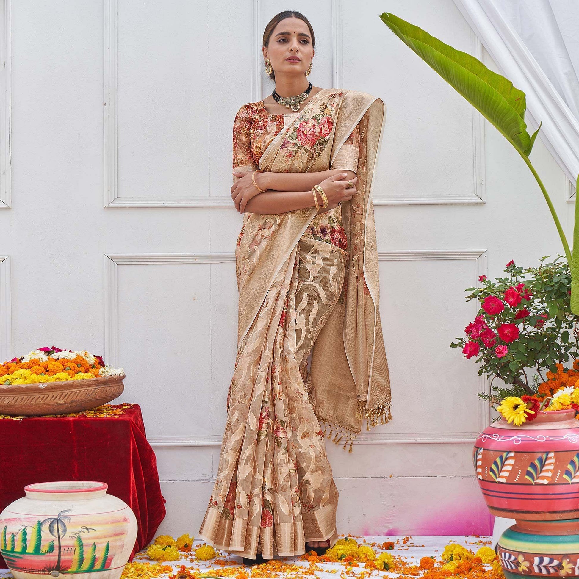 Chikoo Woven With Printed Organza Saree