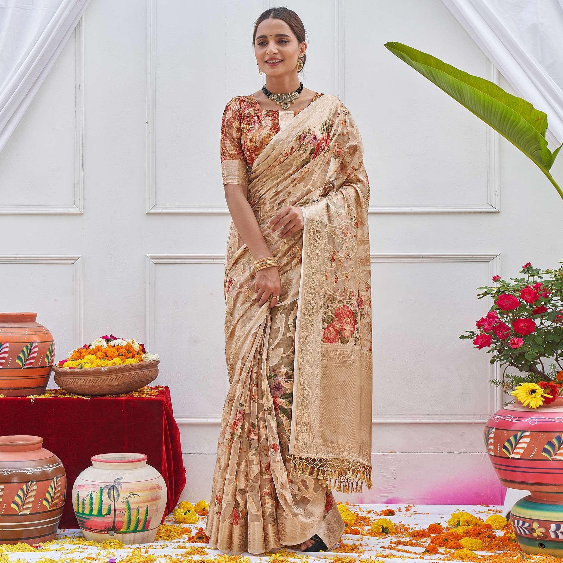 Chikoo Woven With Printed Organza Saree