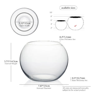 Thick Glass Bubble Ball Flower Vase