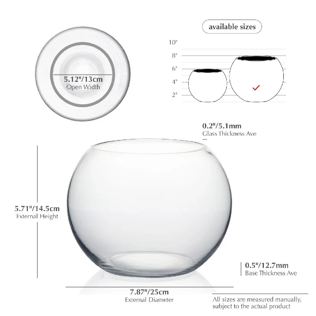 Thick Glass Bubble Ball Flower Vase