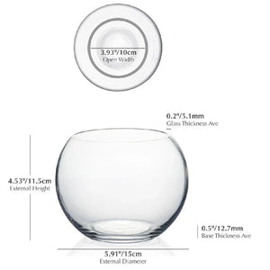Thick Glass Bubble Ball Flower Vase